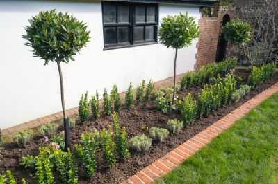 Add Definition to Your Landscape!